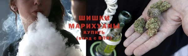 гашик Нея