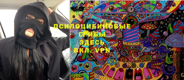 гашик Нея