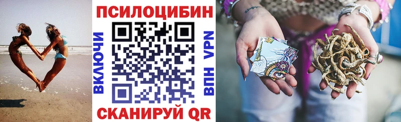 Псилоцибиновые грибы Psilocybe  Шенкурск 